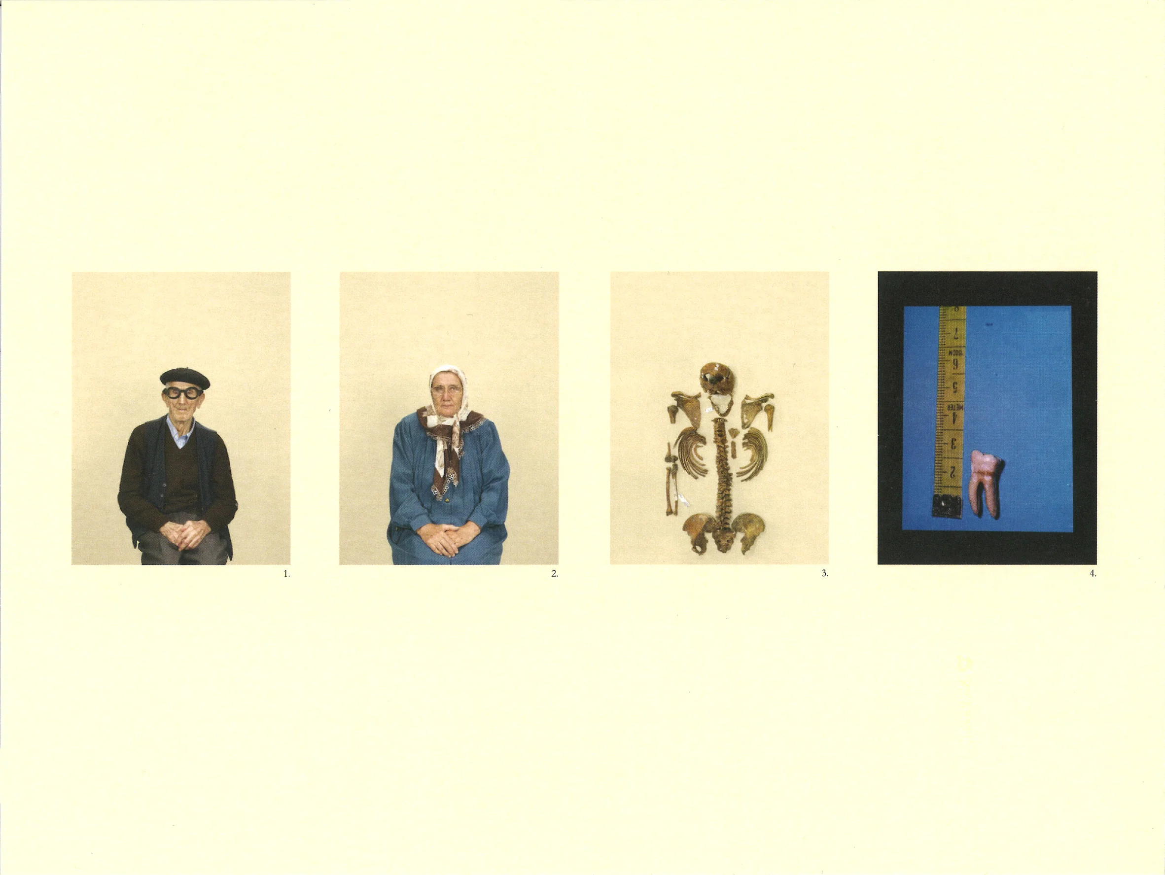 Taryn Simon: Kaleidoscope of Entropy (Mono.Editionen #03) - Image 6