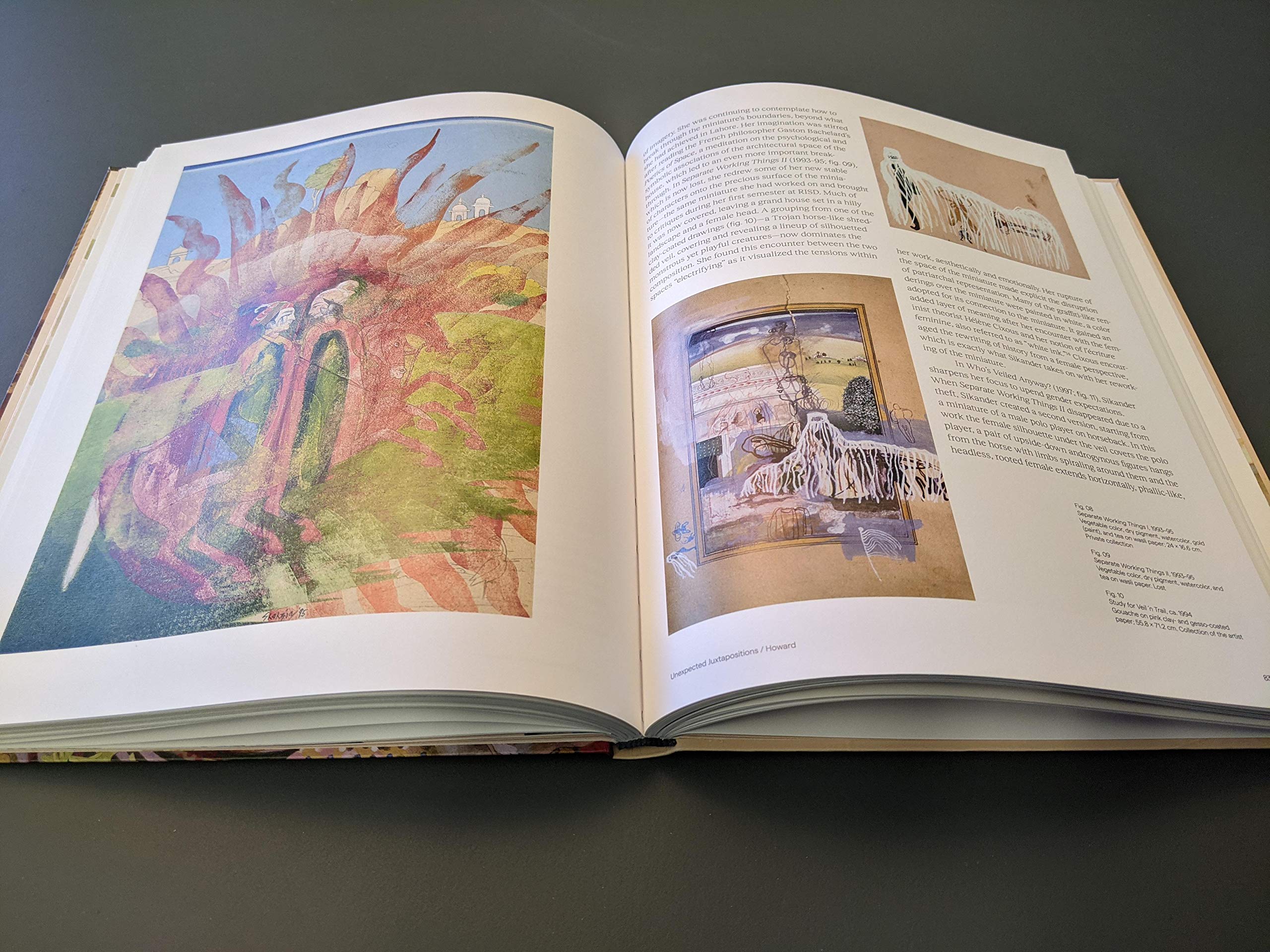 Shahzia Sikander: Extraordinary Realities - Image 3
