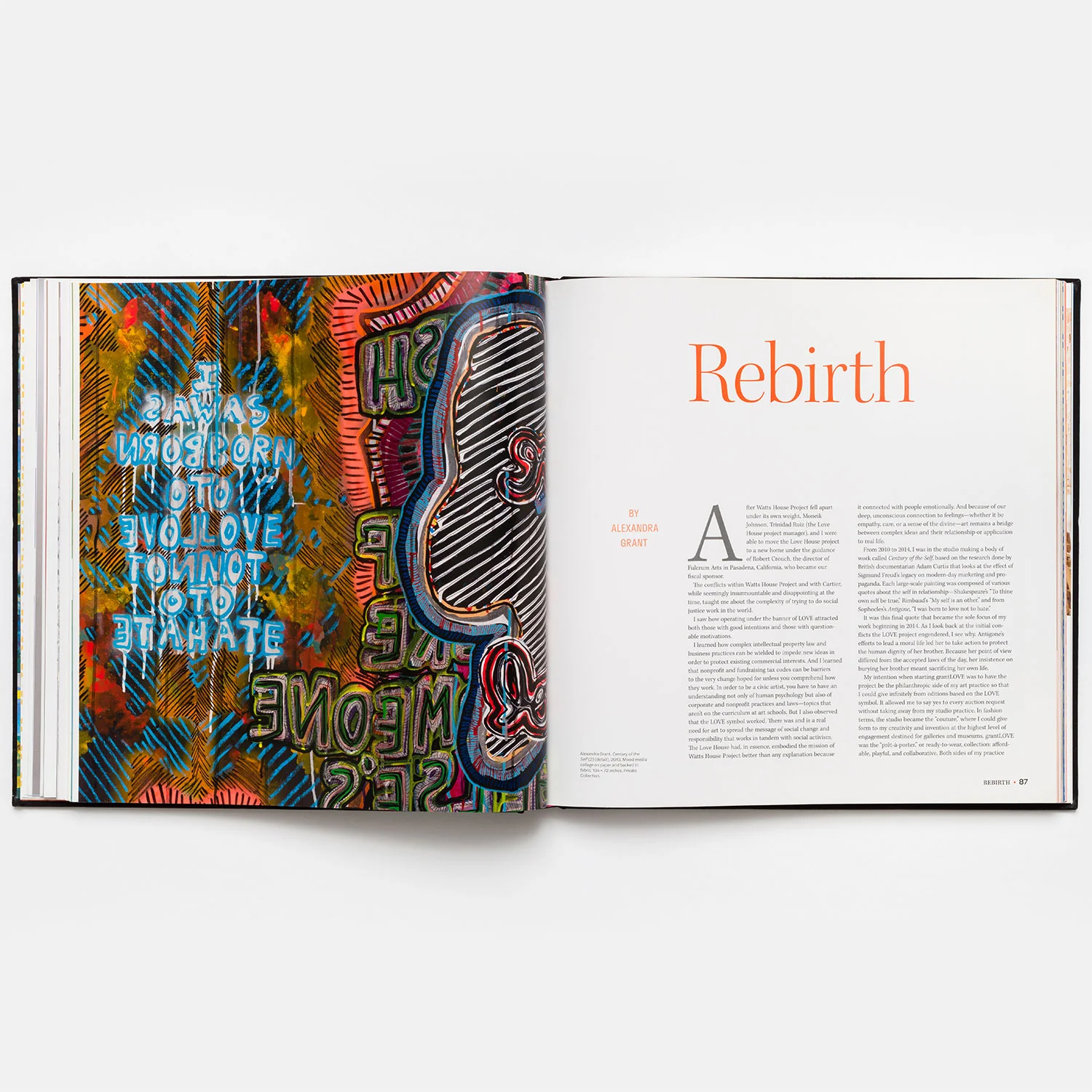 Alexandra Grant: A Visual History of the grantLOVE Project (Signed) - Image 4