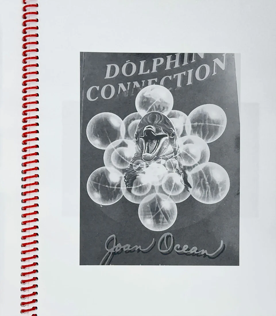Jonny Negron and Isabel Legate: Orb - Image 3