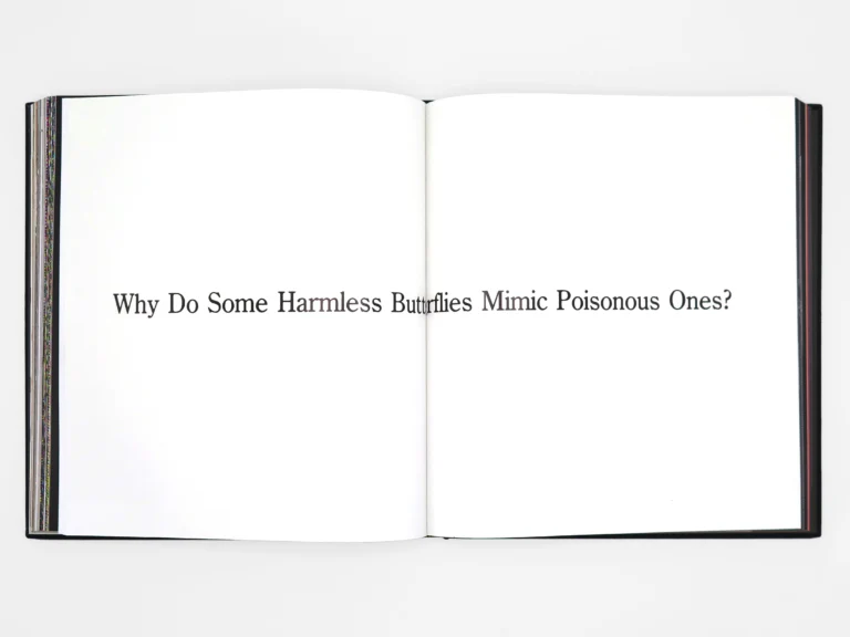 Mungo Thomson: Time Life - Image 3
