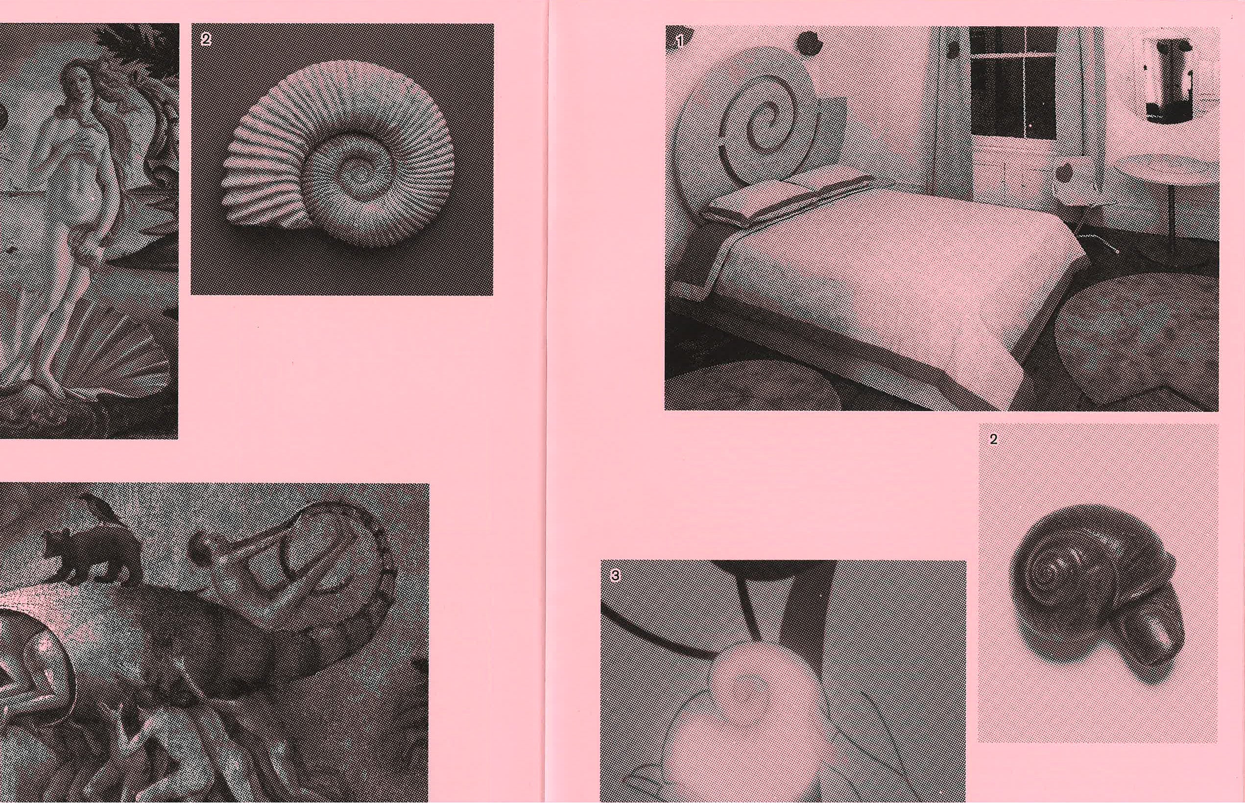 A Shell Like a Wrap She Like He - Image 5