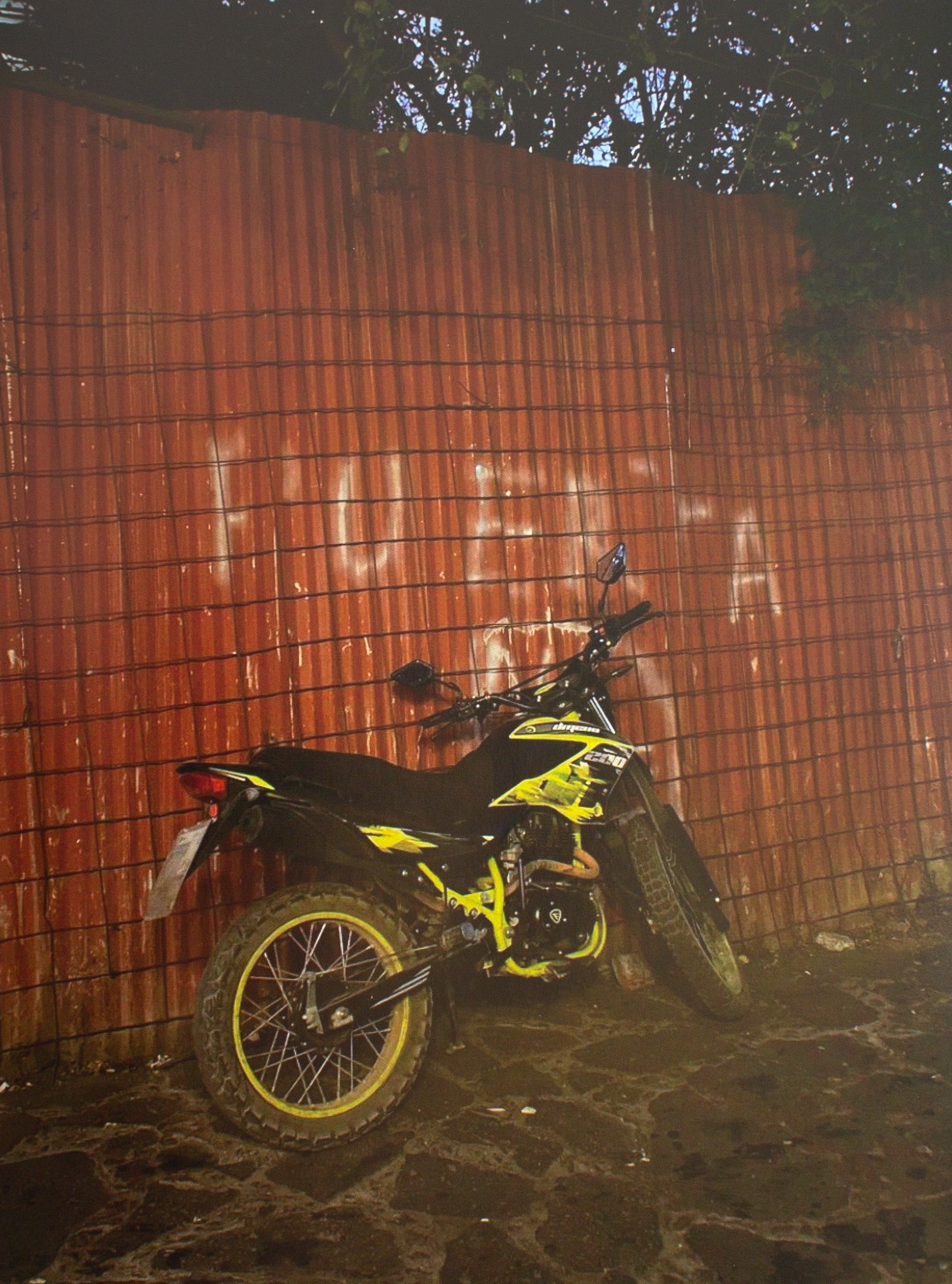 Jester Bulnes: Dentro (Signed) - Image 7