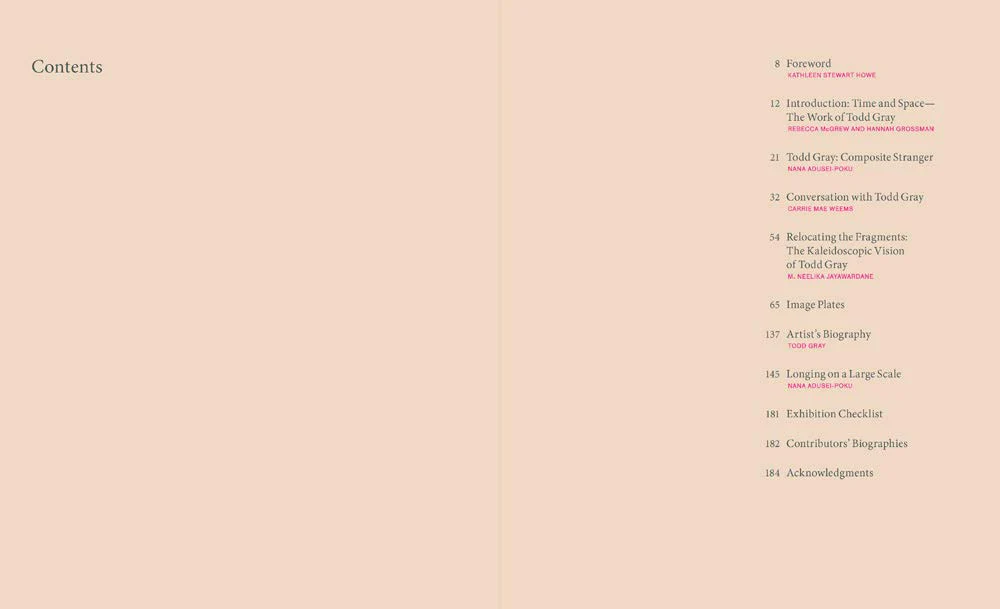 Todd Gray: Euclidean Gris Gris - Image 3