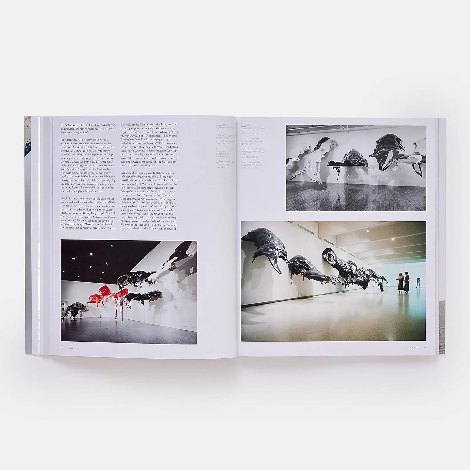 Lynda Benglis (Phaidon) - Image 6