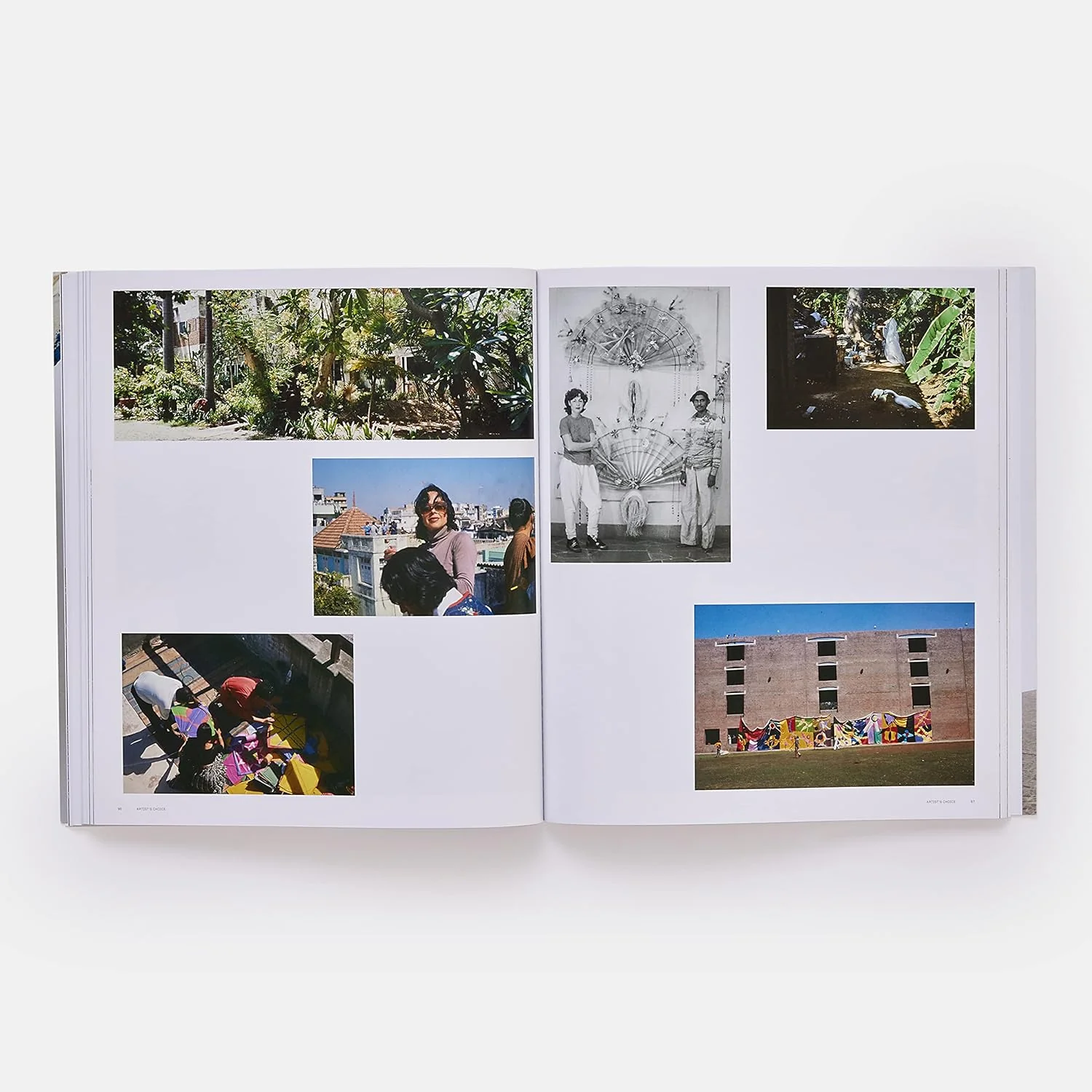 Lynda Benglis (Phaidon) - Image 7