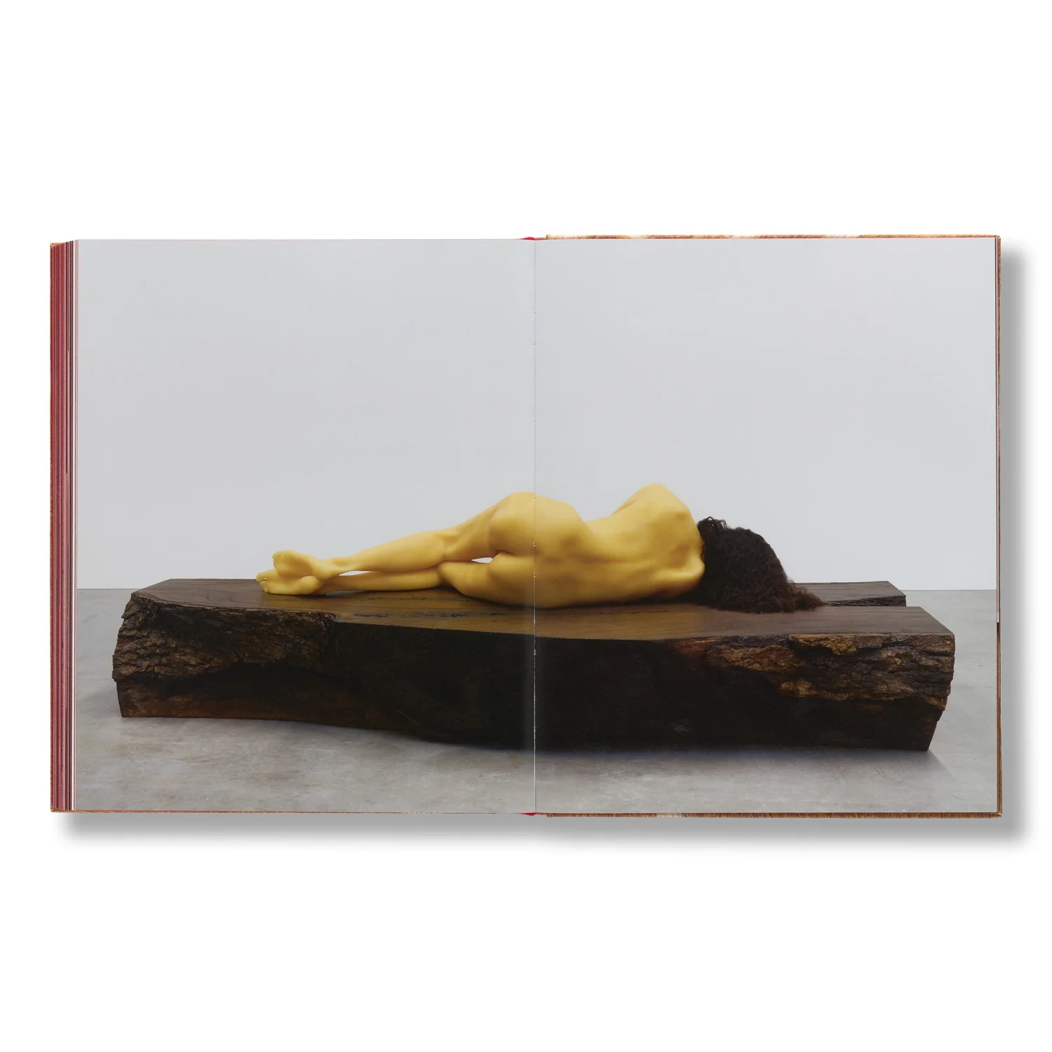 Isabelle Albuquerque: Orgy for Ten People in One Body - Image 10