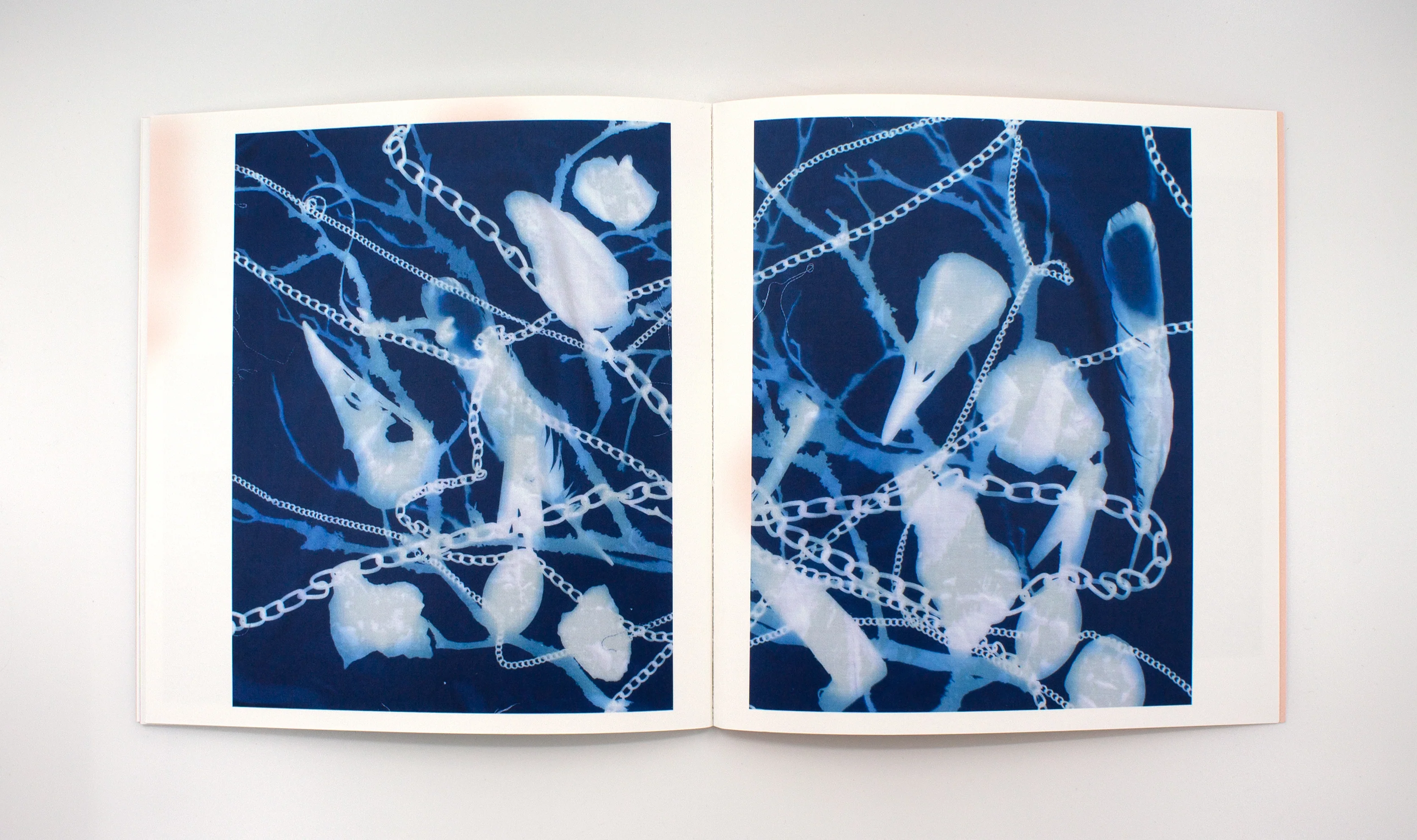 Janet Levy: Haus - Image 5