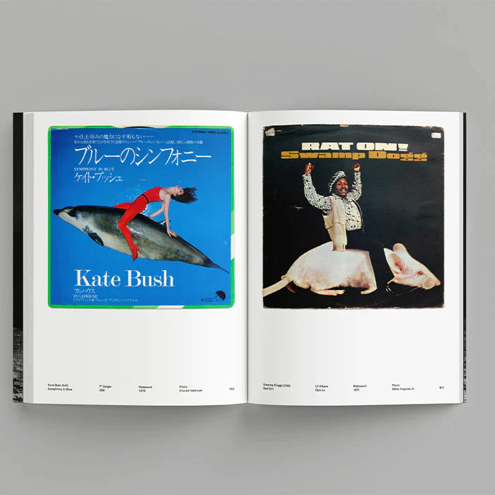 Alberto Viecelo: Pet Sounds - Image 5