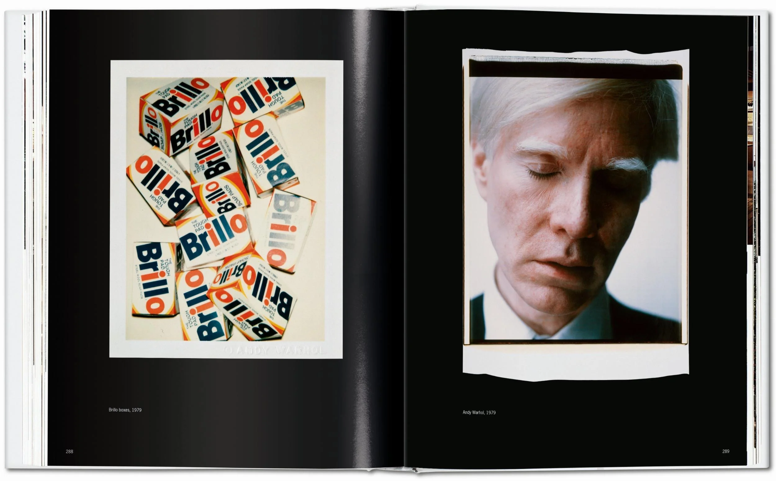 Andy Warhol: Polaroids 1958–1987 - Image 7