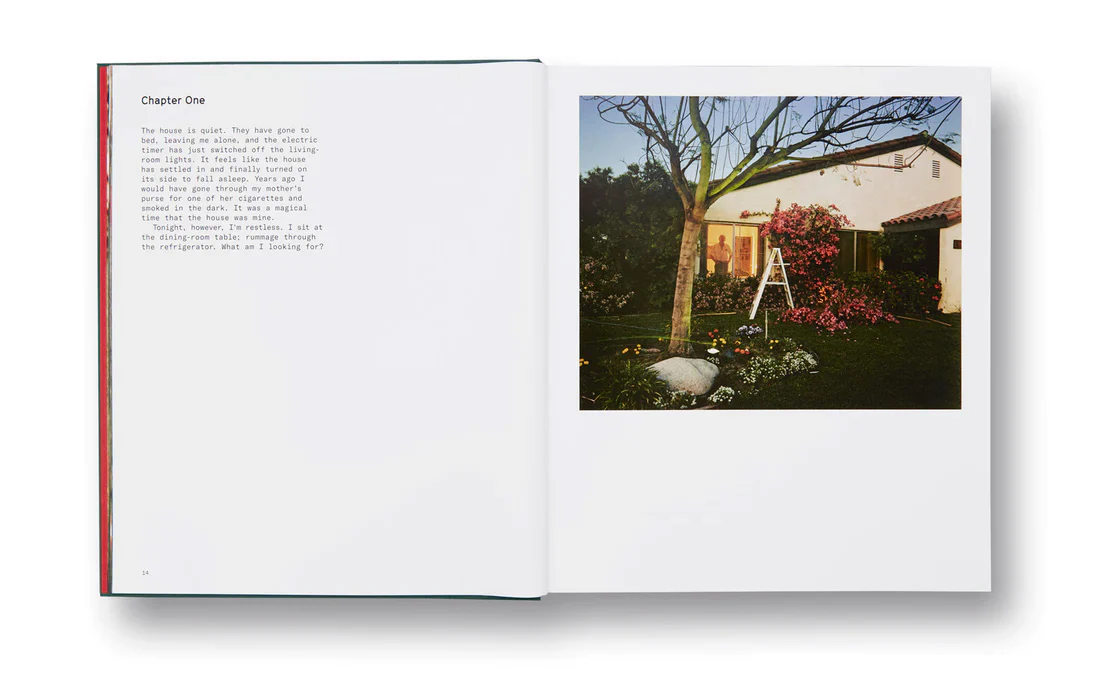 Larry Sultan: Pictures from Home - Image 4