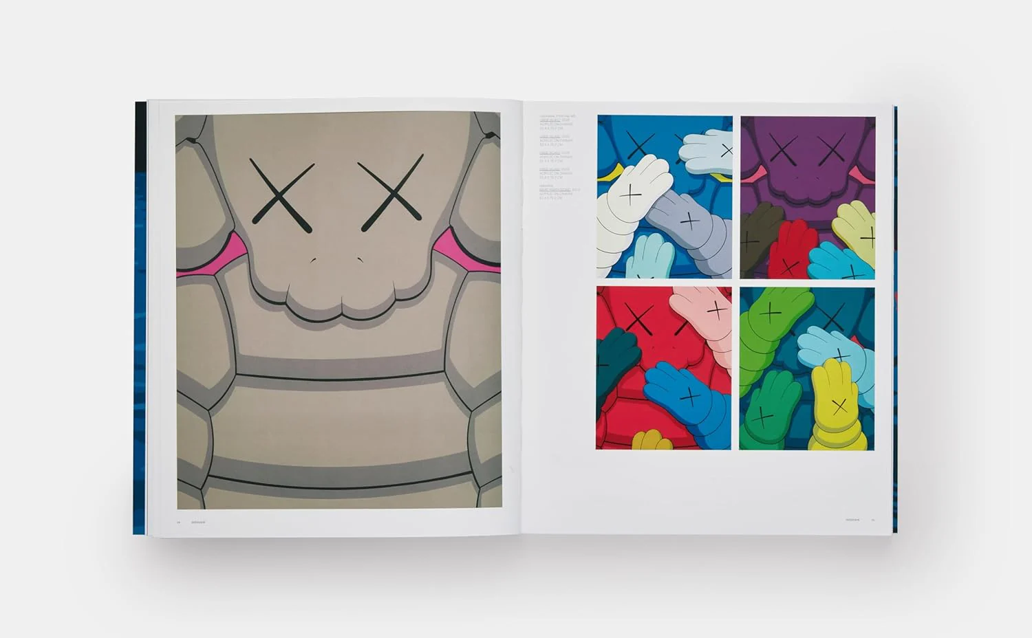 KAWS (Phaidon) - Image 5