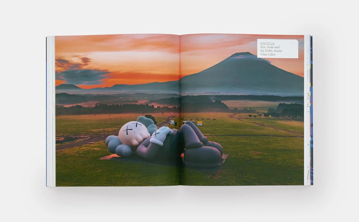 KAWS (Phaidon) - Image 8