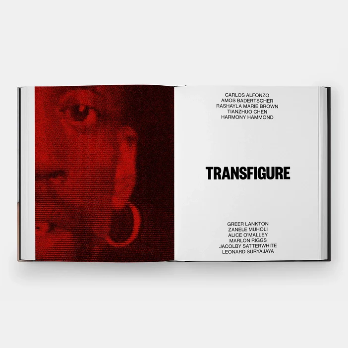 About Face: Stonewall, Revolt, and New Queer Art - Image 3