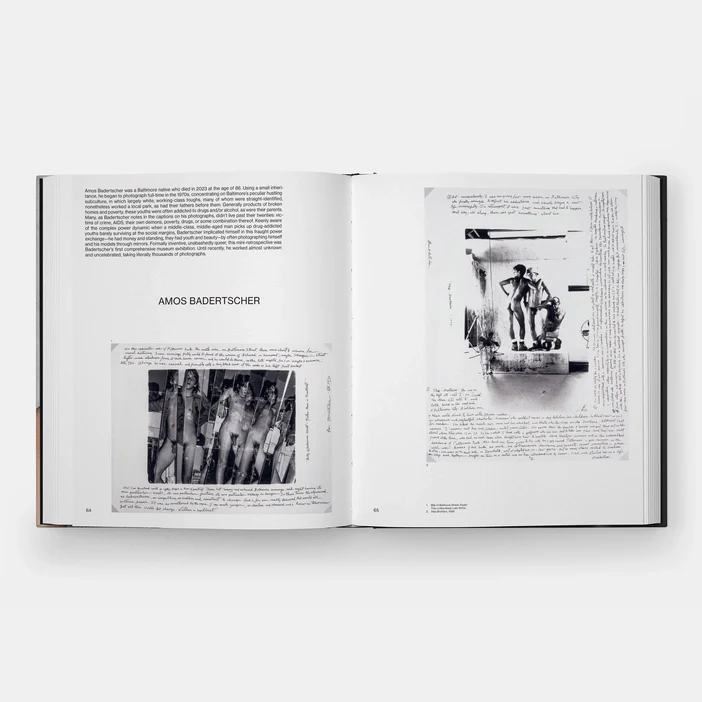 About Face: Stonewall, Revolt, and New Queer Art - Image 4