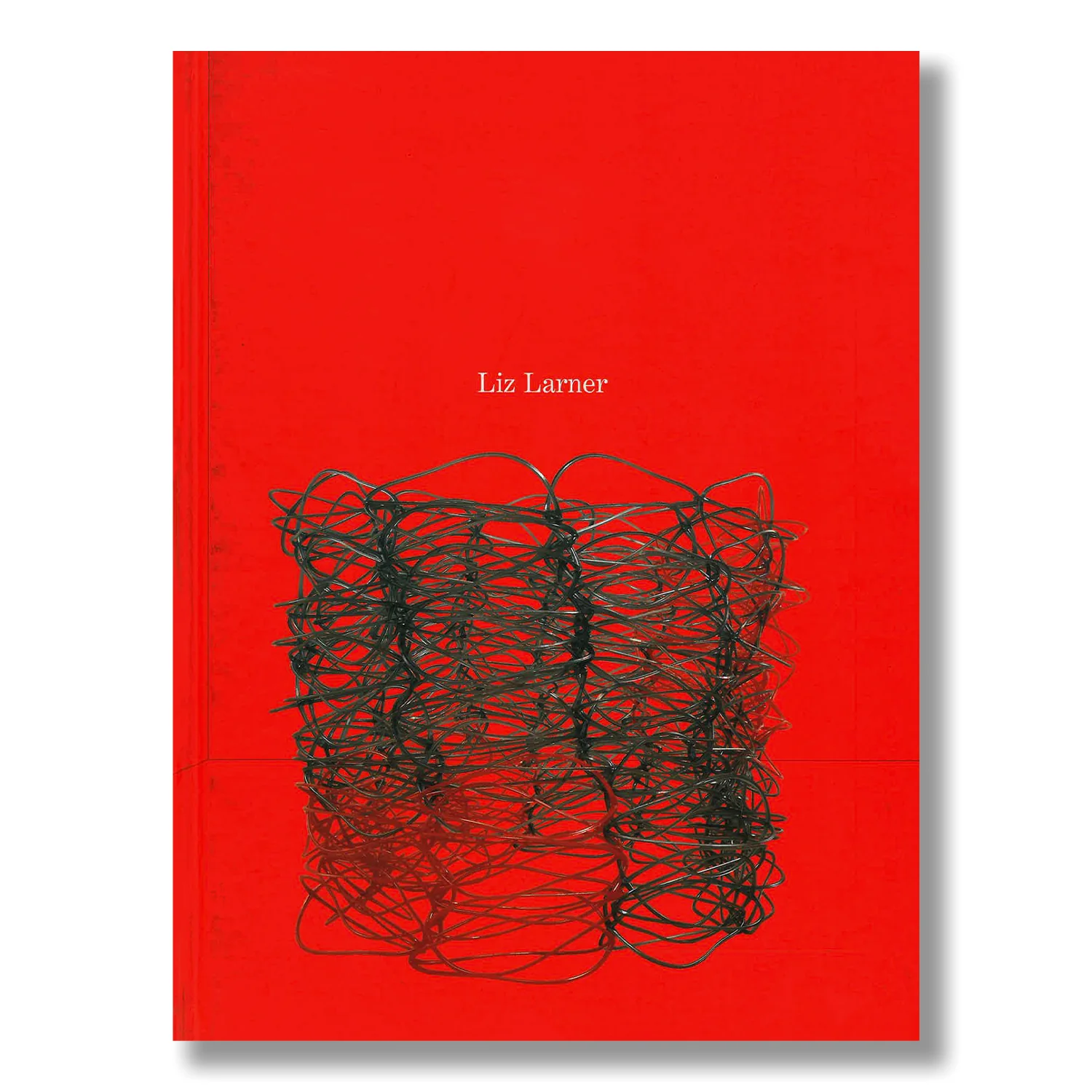 Liz Larner