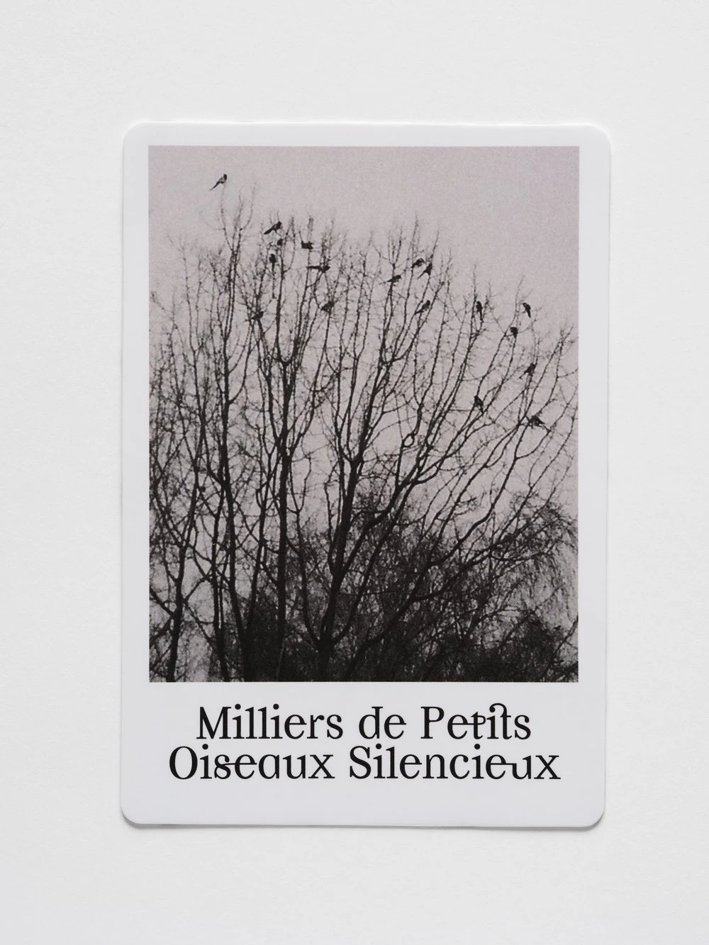 Alexandra Grant with Hélène Cixous: Itinéraires Fantômes Oracle Deck - Image 4