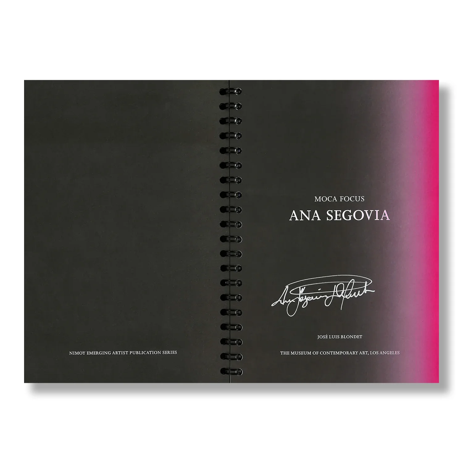 Ana Segovia (MOCA Focus) - Image 10