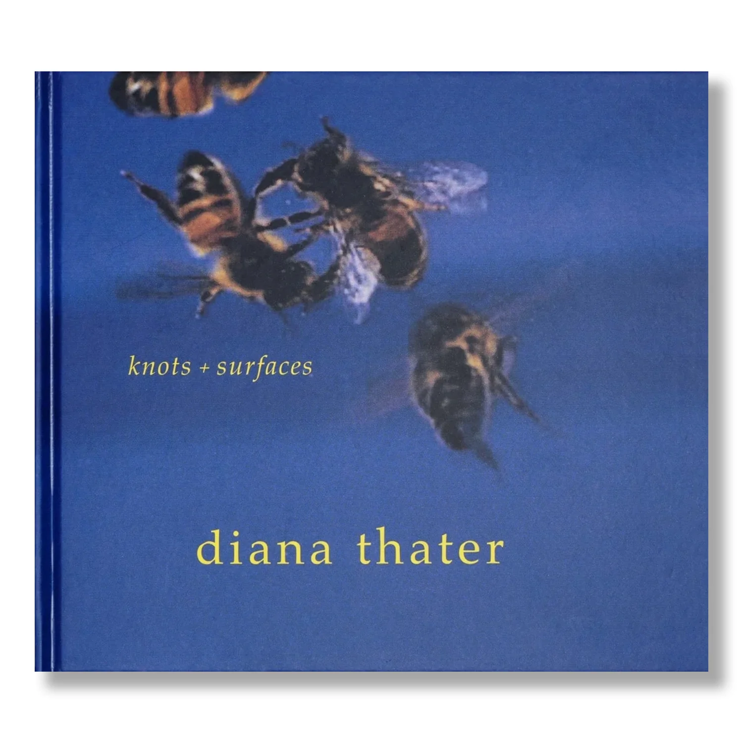 Diana Thater: Knots + Surfaces