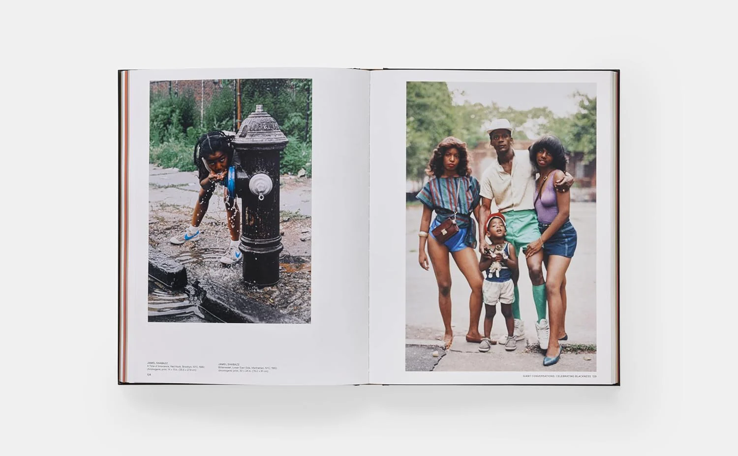 Giants: Art from the Dean Collection of Swizz Beatz and Alicia Keyes - Image 5