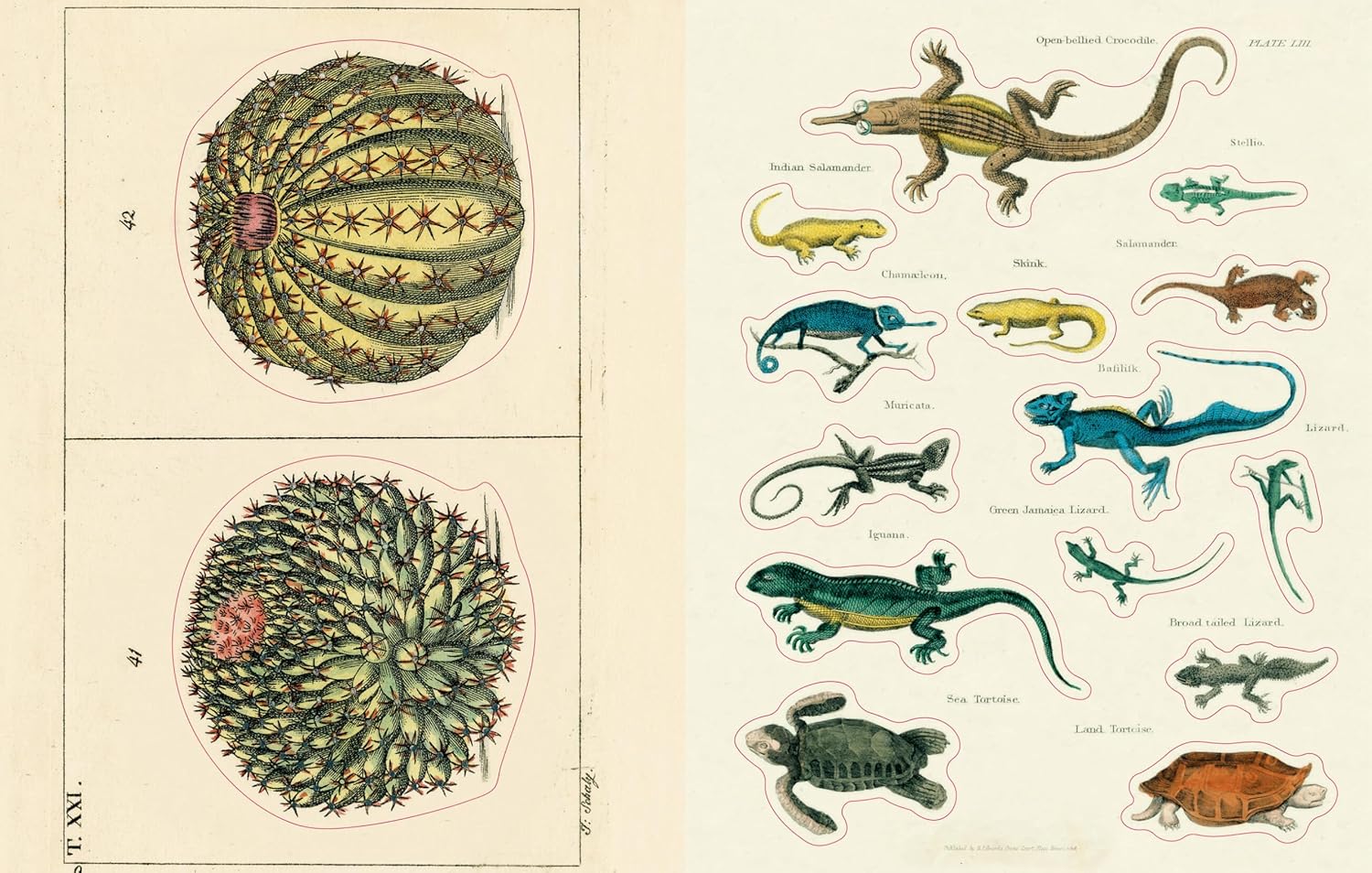 John Derian Sticker Book II - Image 4