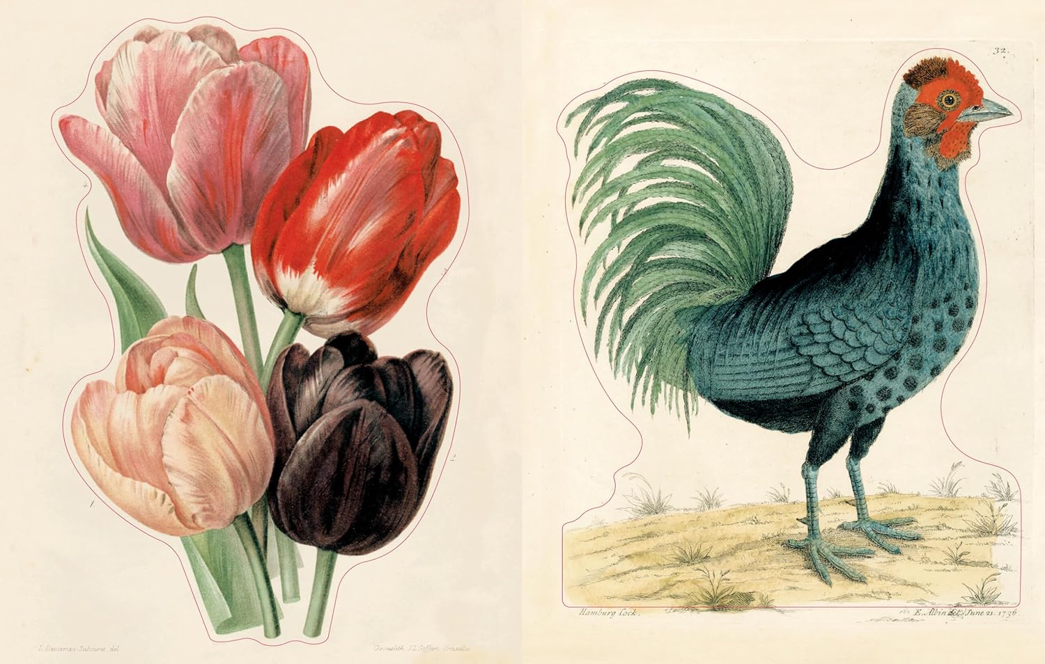 John Derian Sticker Book II - Image 5