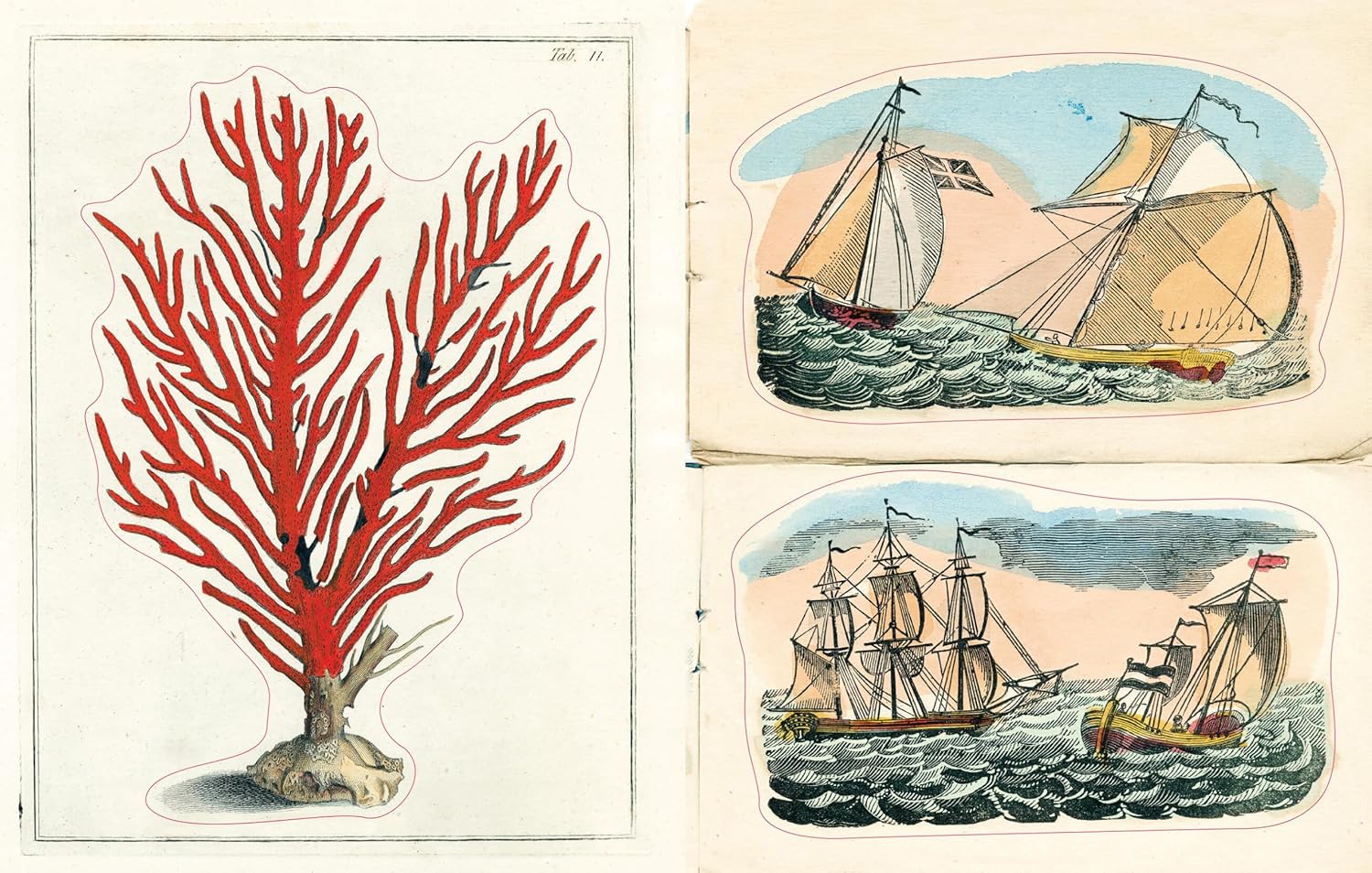 John Derian Sticker Book II - Image 6
