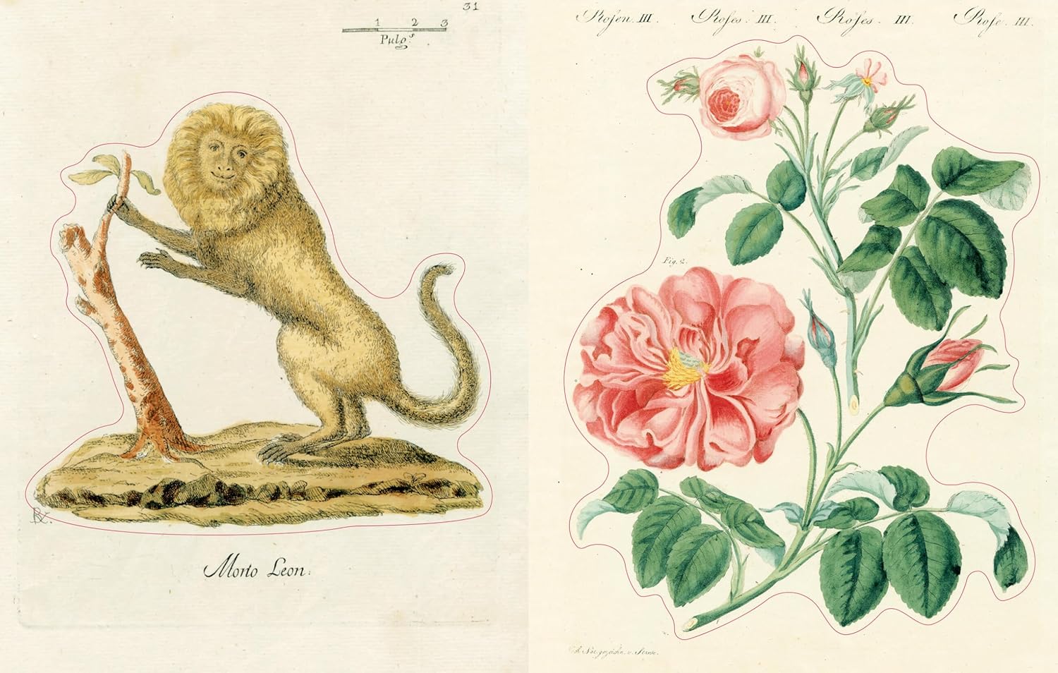 John Derian Sticker Book II - Image 8