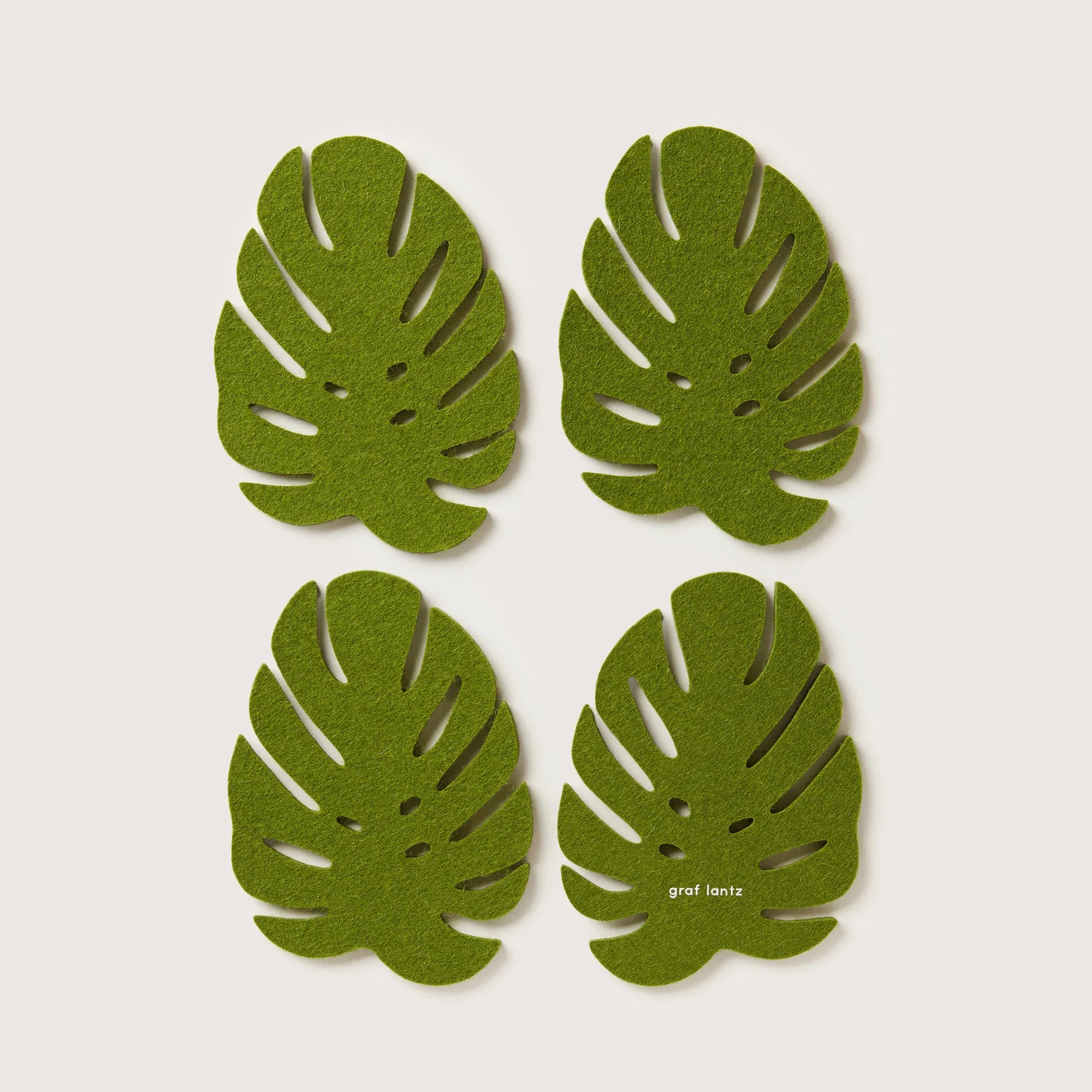 Monstera Bierfilzl - Image 2