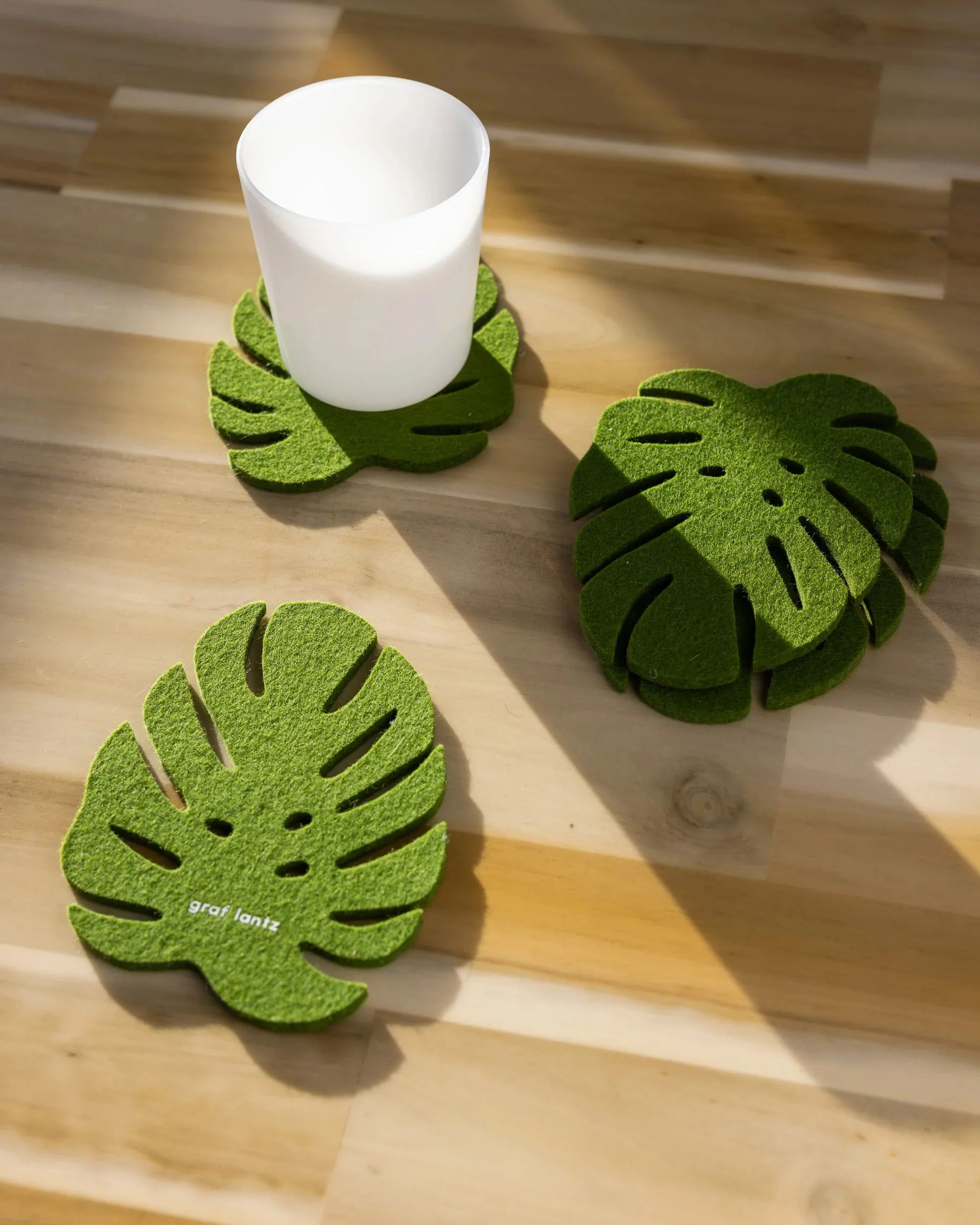 Monstera Bierfilzl - Image 4