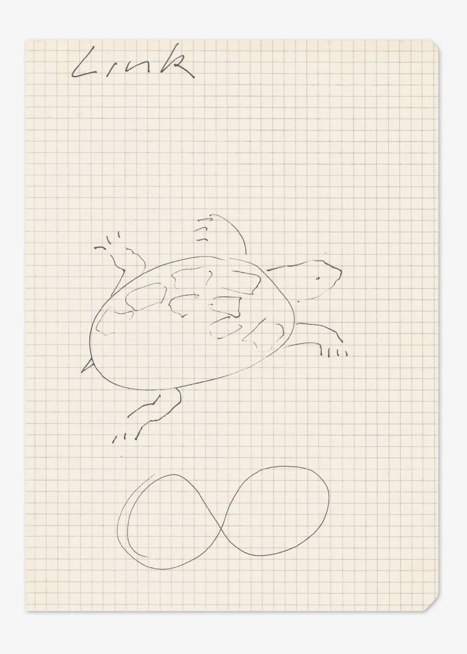 Simone Forti: Postcard (Turtle)
