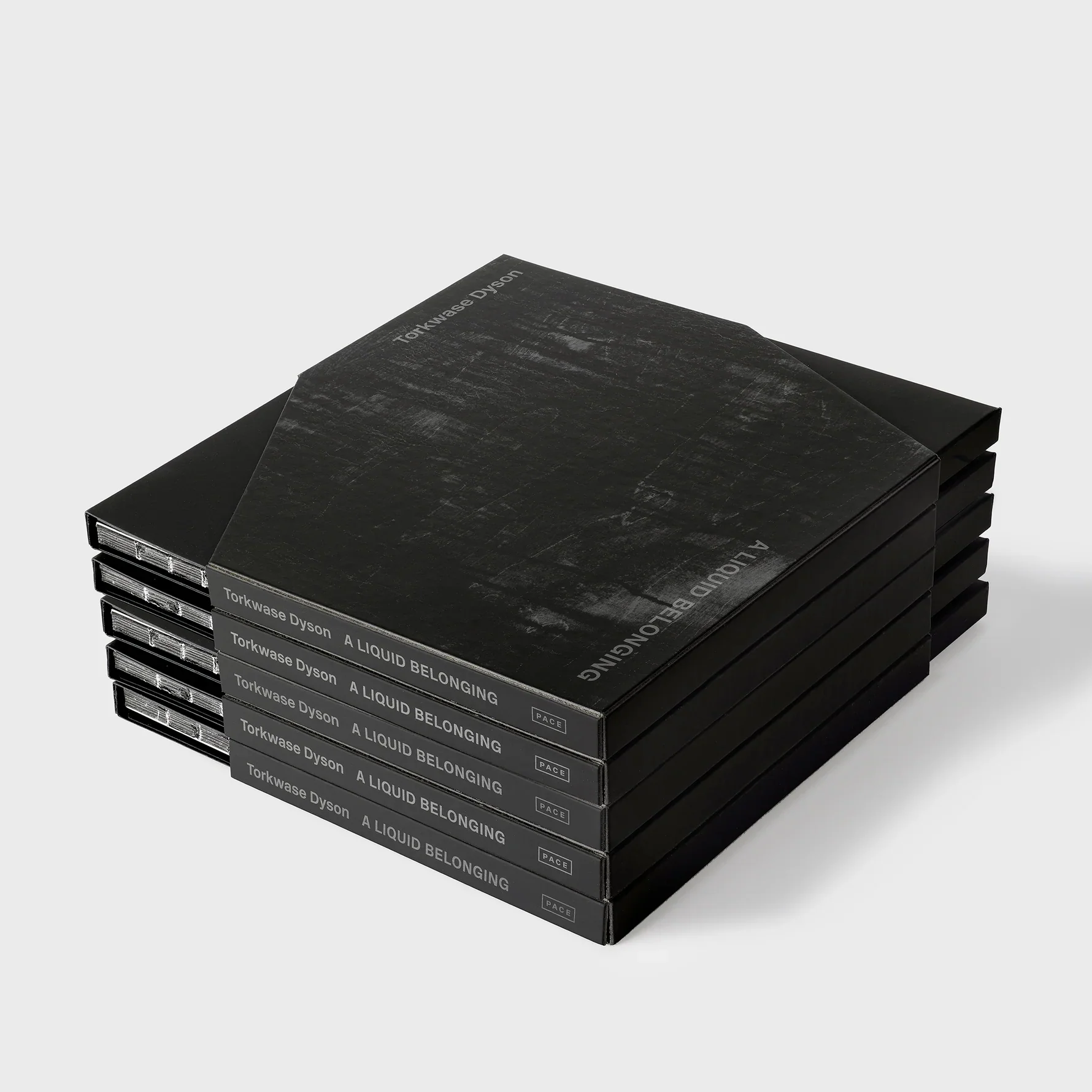 Torkwase Dyson: A Liquid Belonging - Image 4